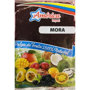 PULPA DE MORA 250G AMERICA - Imagen 2